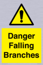 danger-falling-branches~